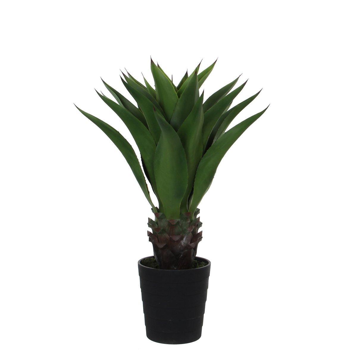 Künstliche Agavenpflanze – H80 x Ø80 cm – Grün - HomeDesign Knaus