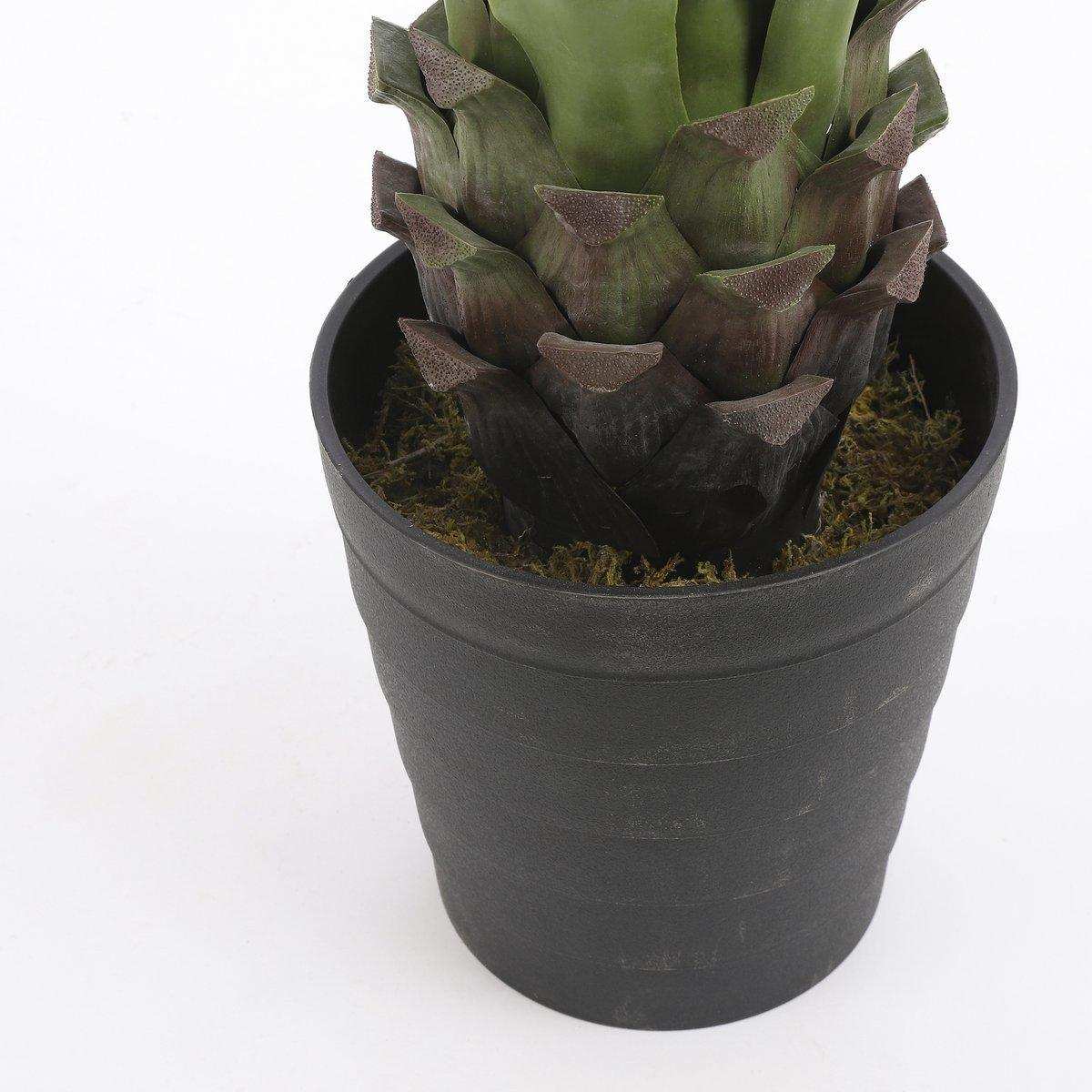 Künstliche Agavenpflanze – H80 x Ø80 cm – Grün - HomeDesign Knaus