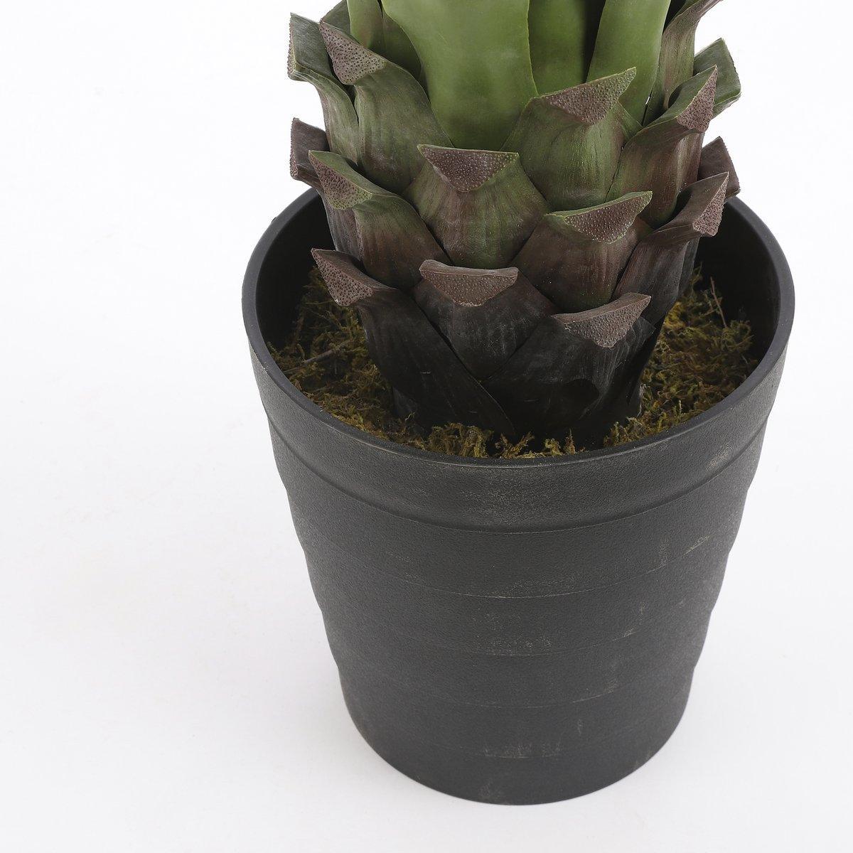 Künstliche Agavenpflanze – H80 x Ø80 cm – Grün - HomeDesign Knaus