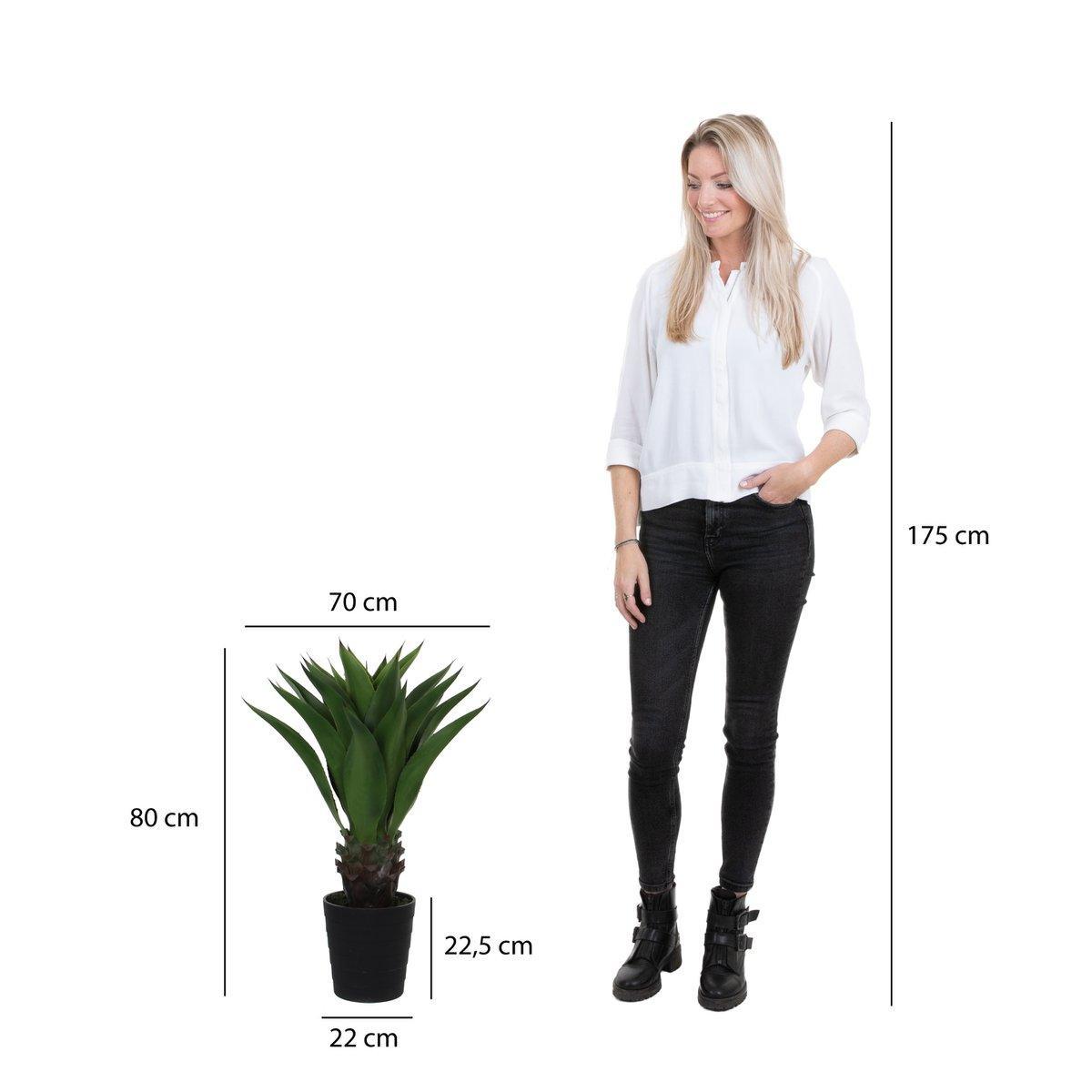 Künstliche Agavenpflanze – H80 x Ø80 cm – Grün - HomeDesign Knaus