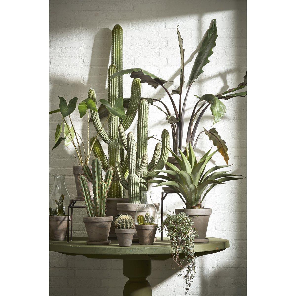 Künstliche Agavenpflanze – H80 x Ø80 cm – Grün - HomeDesign Knaus