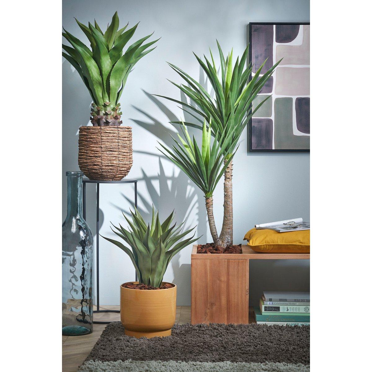 Künstliche Agavenpflanze – H80 x Ø80 cm – Grün - HomeDesign Knaus
