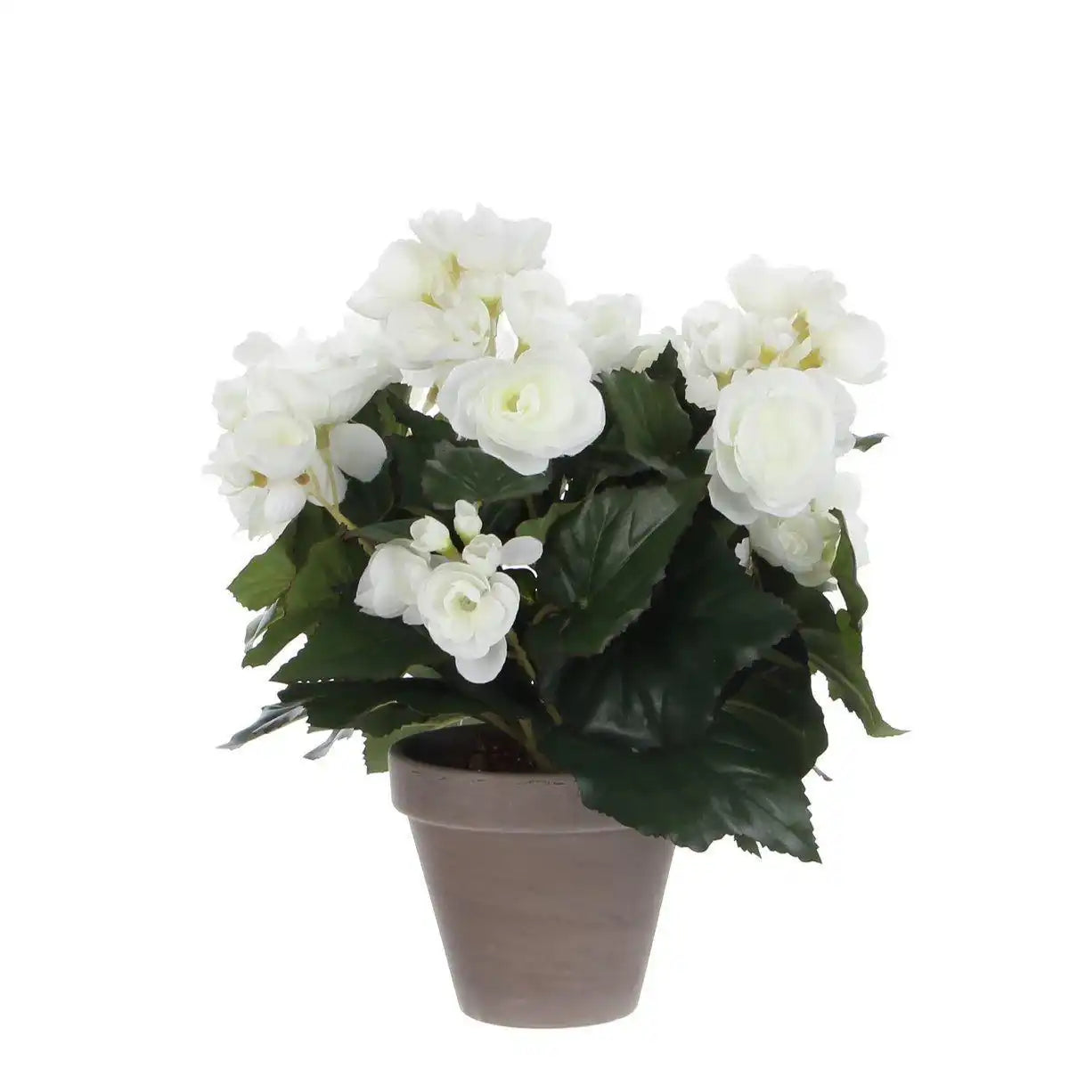 Künstliche Begonienpflanze im Blumentopf Stan – H30 x Ø25 cm – Weiß - HomeDesign Knaus