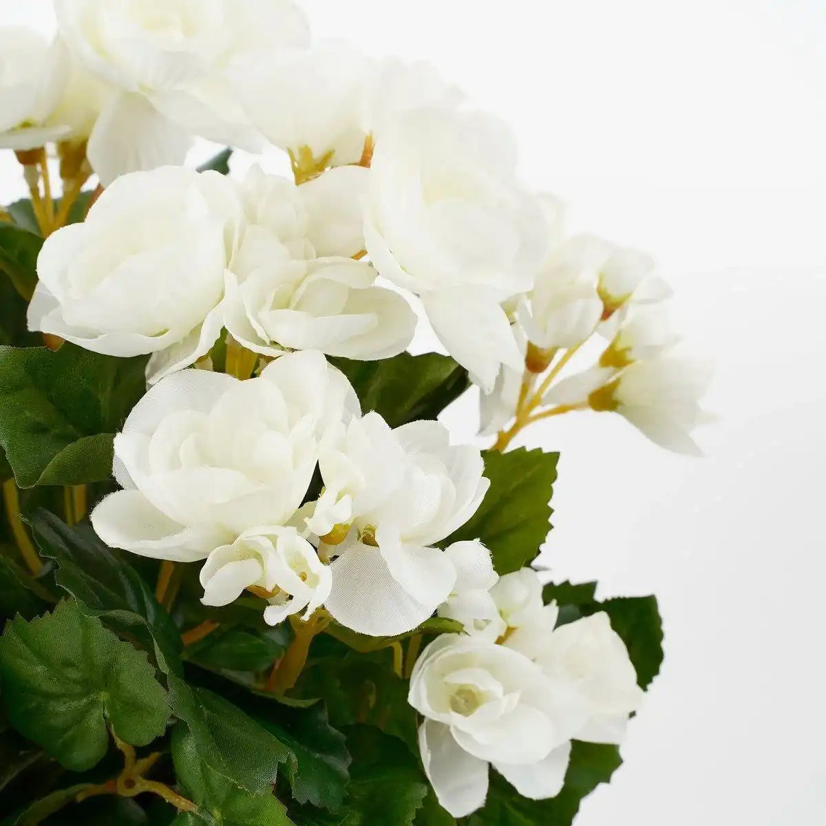 Künstliche Begonienpflanze im Blumentopf Stan – H30 x Ø25 cm – Weiß - HomeDesign Knaus