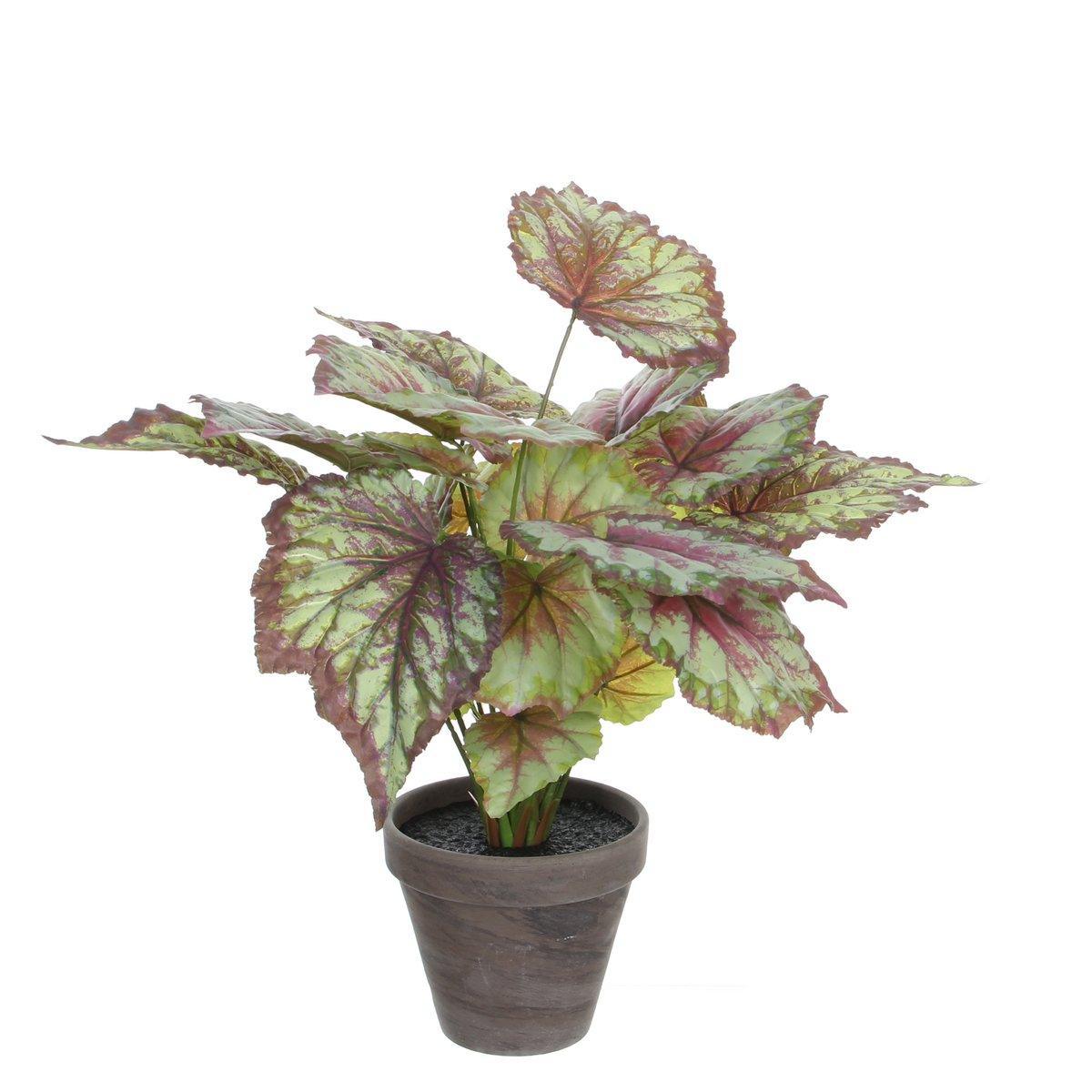 Künstliche Begonienpflanze im Blumentopf Stan – H40 x Ø38 cm – Rot - HomeDesign Knaus