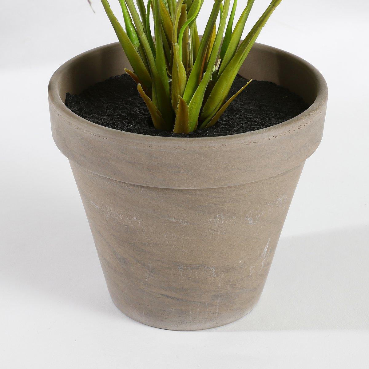Künstliche Begonienpflanze im Blumentopf Stan – H40 x Ø38 cm – Rot - HomeDesign Knaus