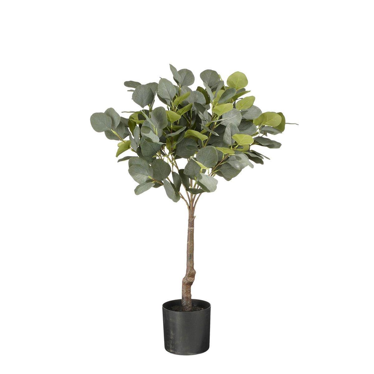 Künstliche Eukalyptuspflanze im Blumentopf – H75 x Ø15 cm – Grün - HomeDesign Knaus