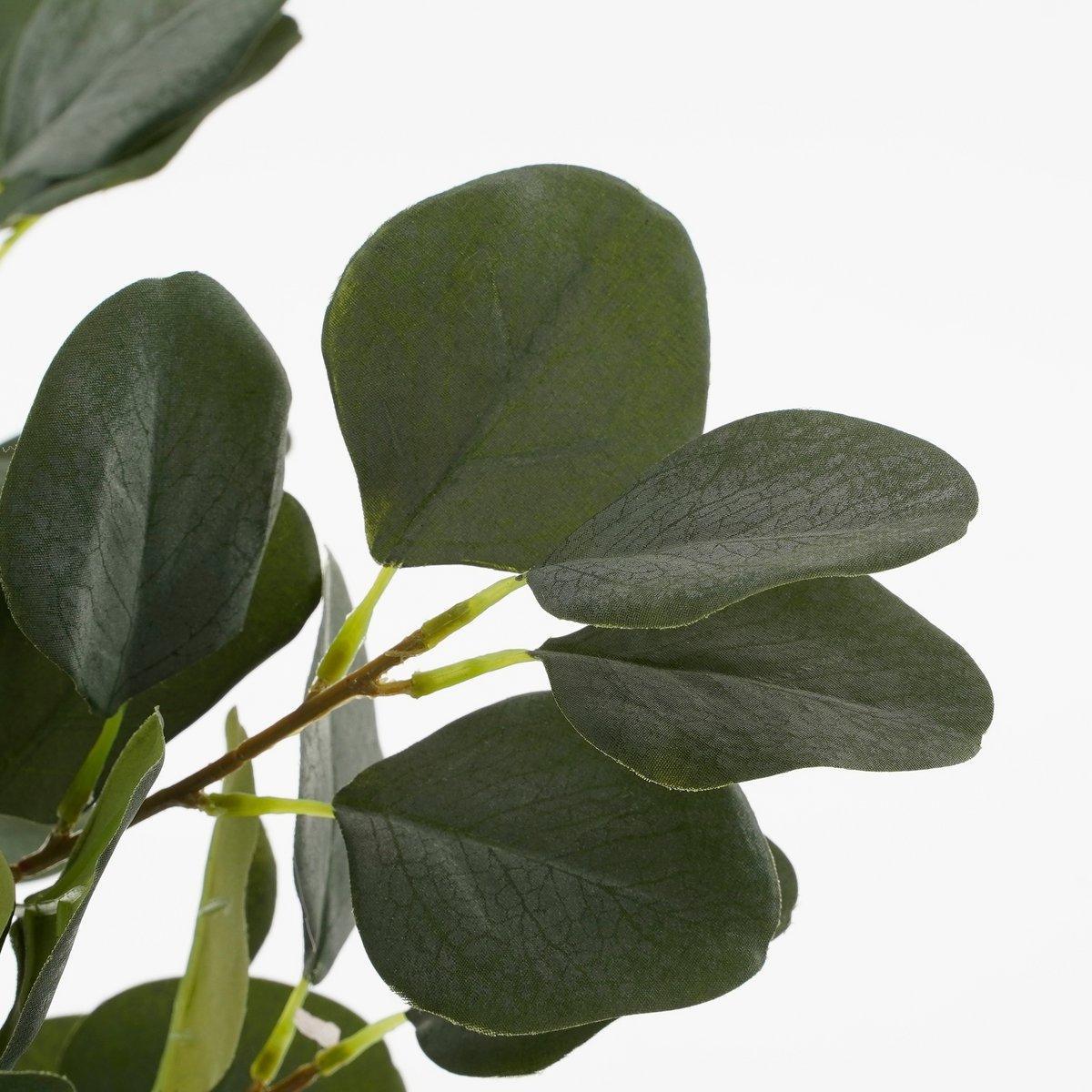 Künstliche Eukalyptuspflanze im Blumentopf – H75 x Ø15 cm – Grün - HomeDesign Knaus