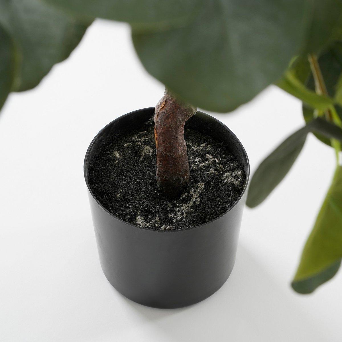 Künstliche Eukalyptuspflanze im Blumentopf – H75 x Ø15 cm – Grün - HomeDesign Knaus