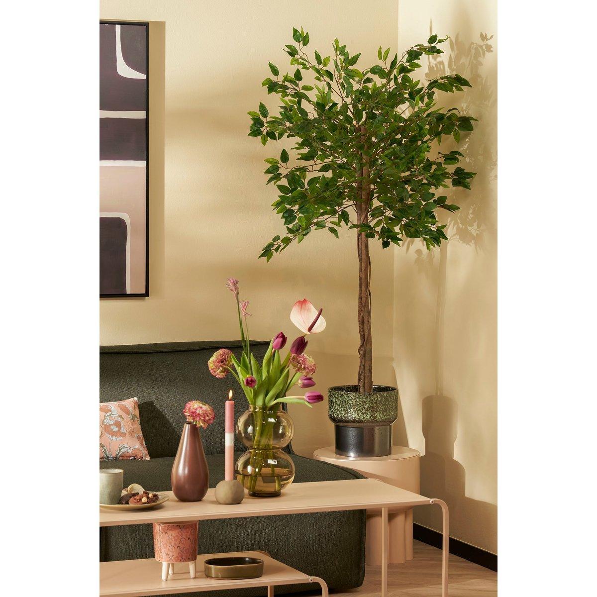 Künstliche Ficus-Pflanze im Blumentopf – H150 x Ø50 cm – Grün - HomeDesign Knaus