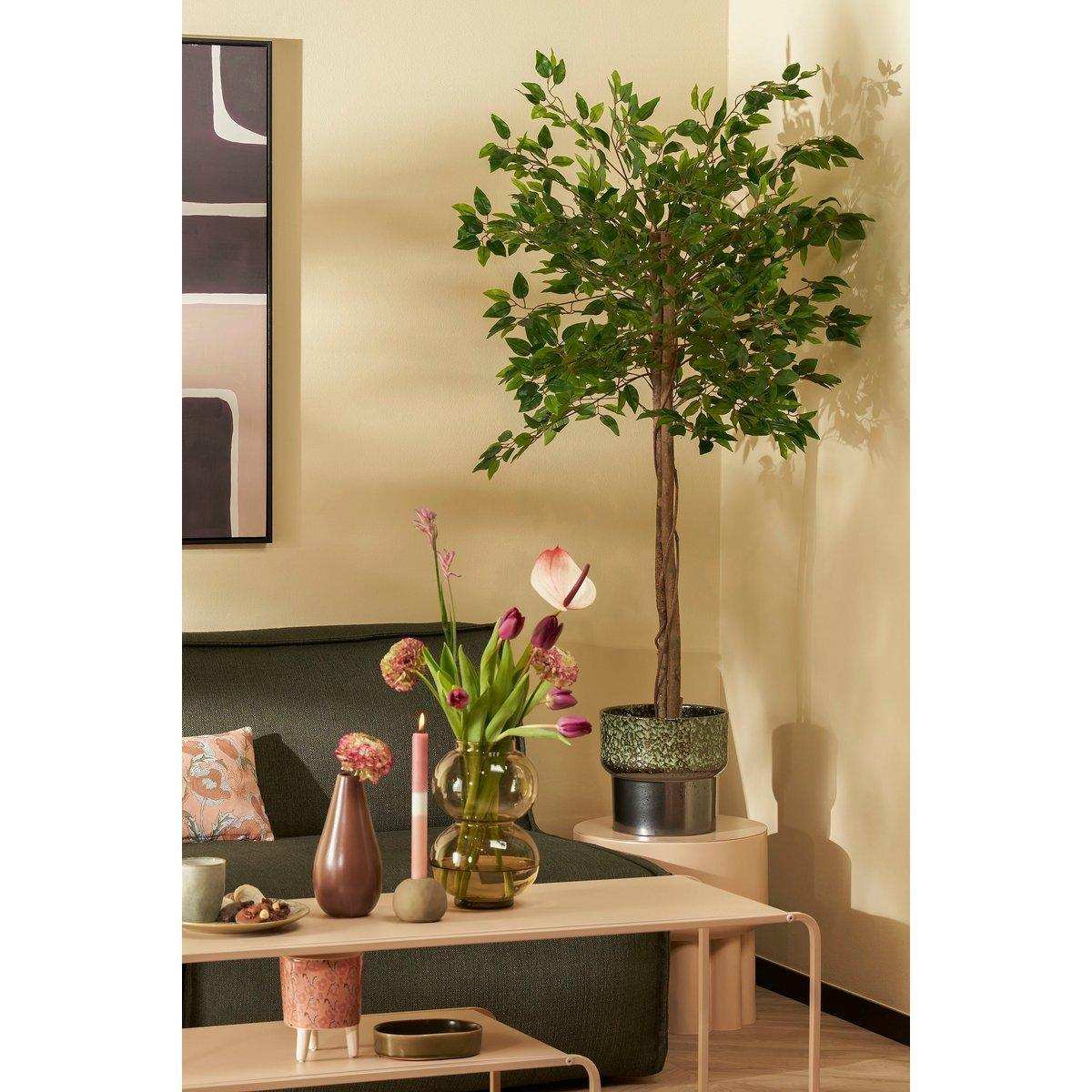 Künstliche Ficus-Pflanze im Blumentopf – H150 x Ø50 cm – Grün - HomeDesign Knaus