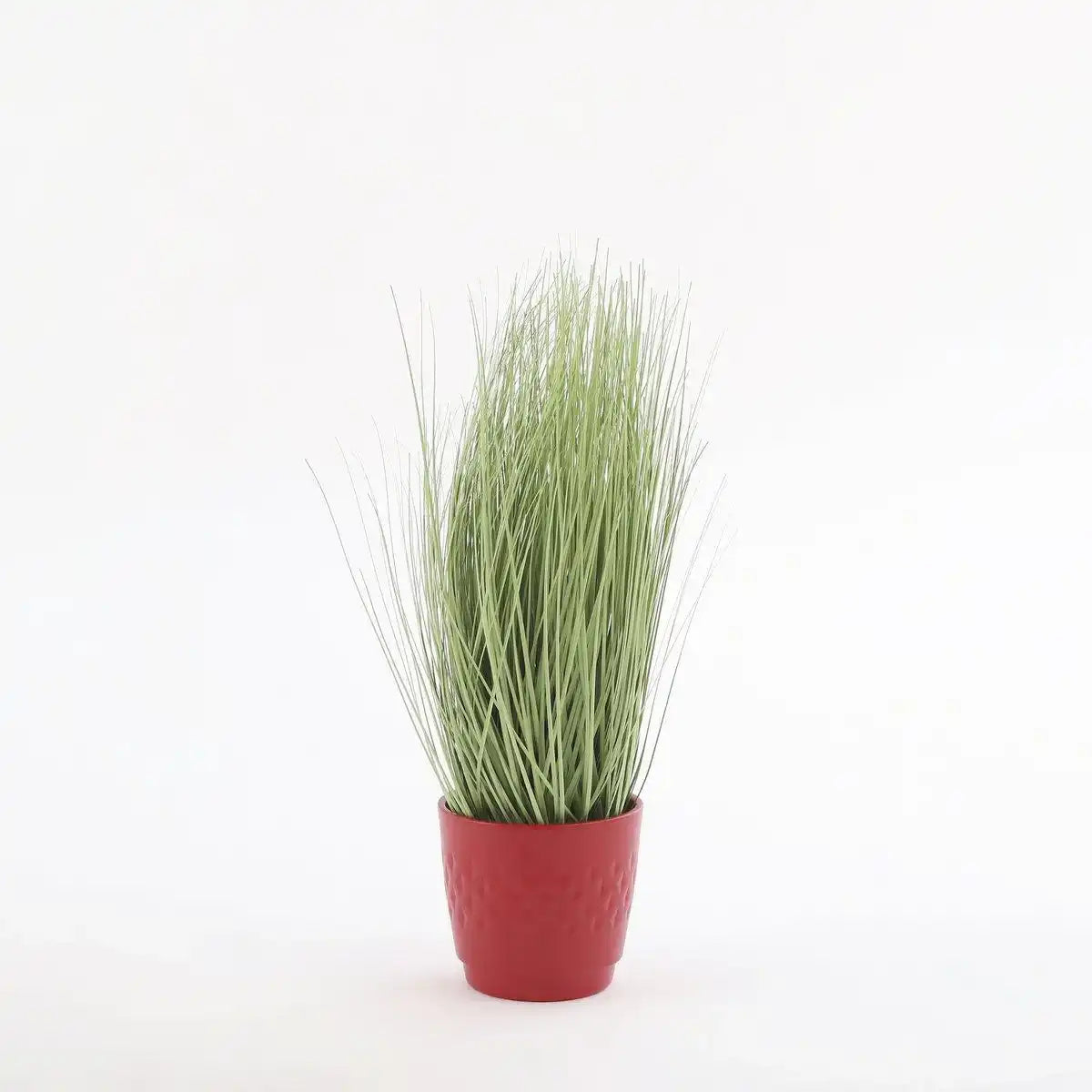 Künstliche Graspflanze – H68 x Ø50 cm – Grün - HomeDesign Knaus