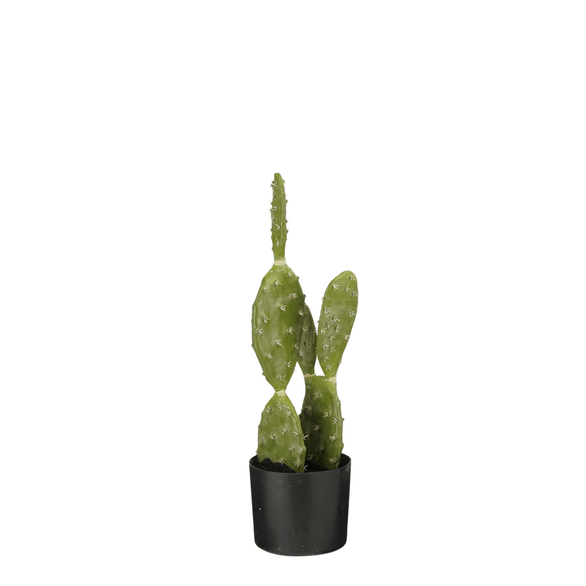 Künstliche Kaktuspflanze im Blumentopf – H50 x Ø25 cm – Grün - HomeDesign Knaus