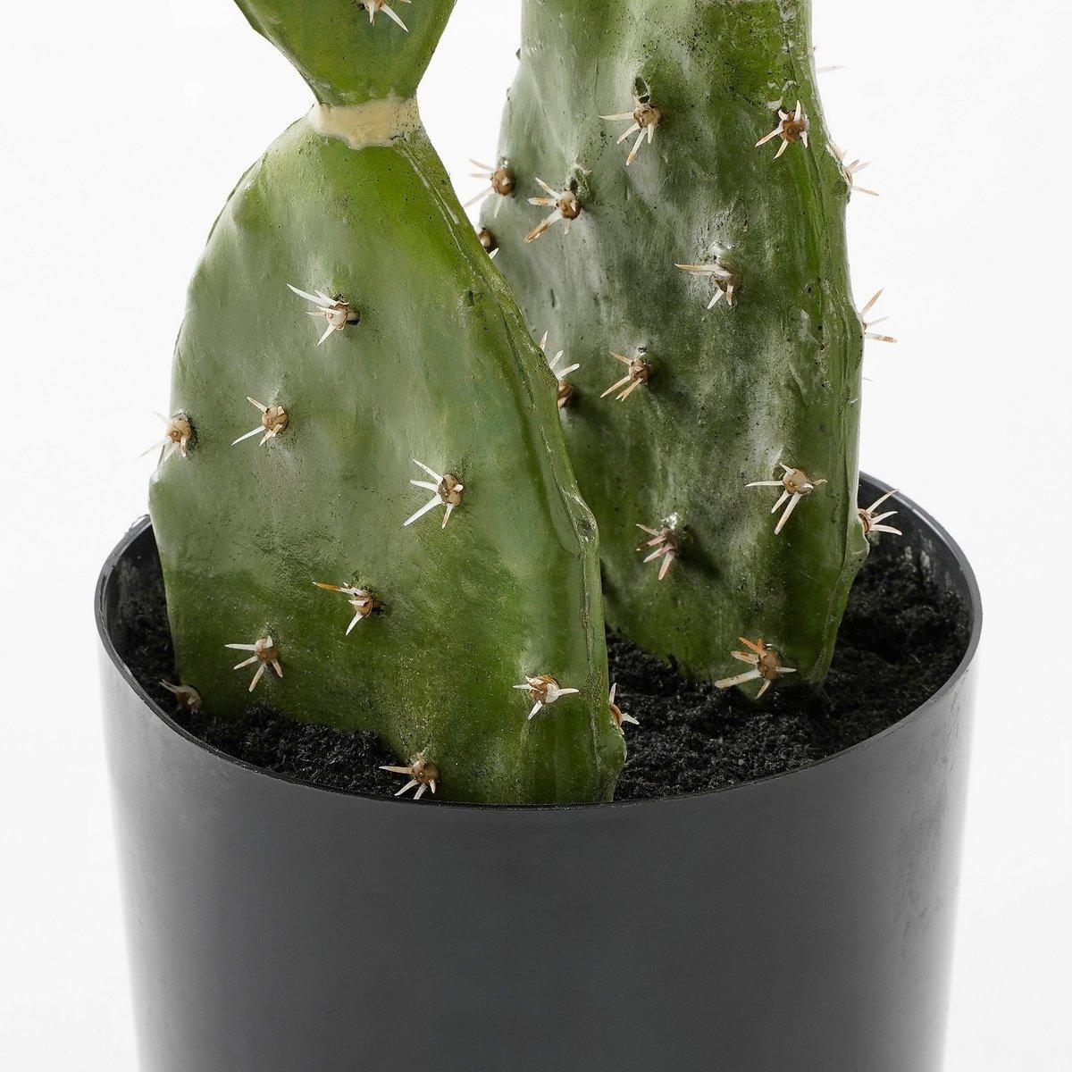 Künstliche Kaktuspflanze im Blumentopf – H50 x Ø25 cm – Grün - HomeDesign Knaus