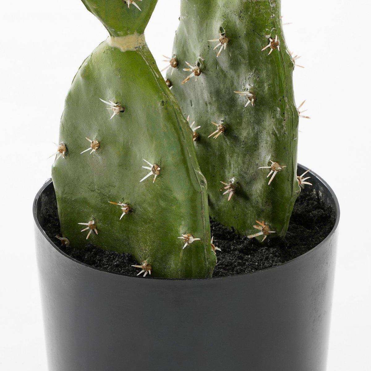 Künstliche Kaktuspflanze im Blumentopf – H50 x Ø25 cm – Grün - HomeDesign Knaus