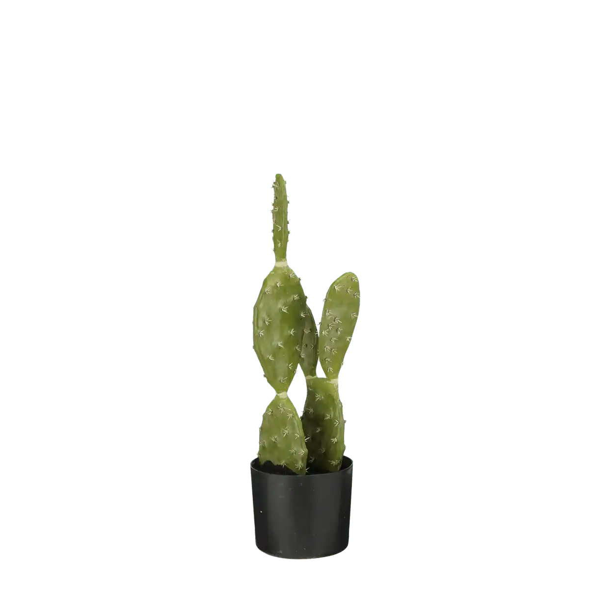 Künstliche Kaktuspflanze im Blumentopf – H50 x Ø25 cm – Grün - HomeDesign Knaus