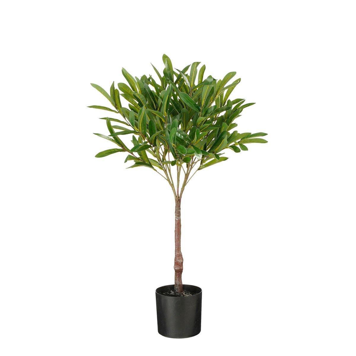 Künstliche Olivenpflanze im Blumentopf – H75 x Ø15 cm – Grün - HomeDesign Knaus