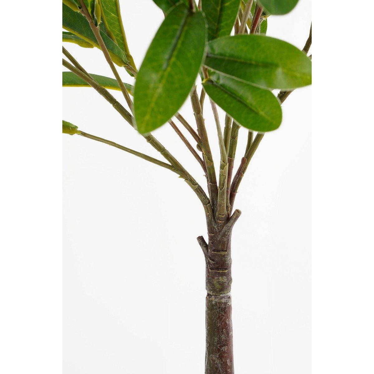 Künstliche Olivenpflanze im Blumentopf – H75 x Ø15 cm – Grün - HomeDesign Knaus