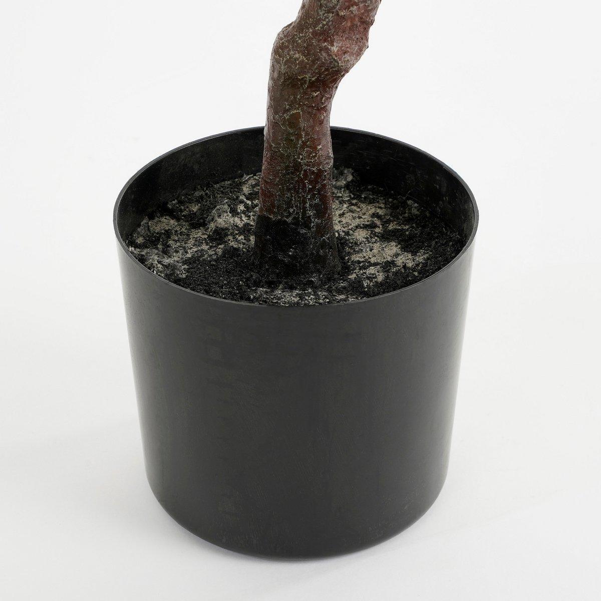 Künstliche Olivenpflanze im Blumentopf – H75 x Ø15 cm – Grün - HomeDesign Knaus