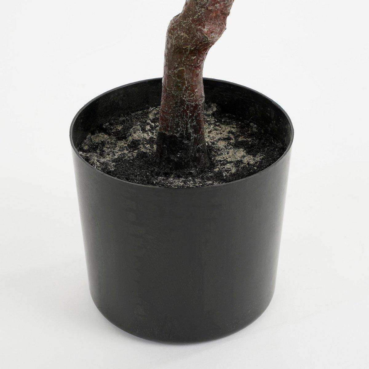Künstliche Olivenpflanze im Blumentopf – H75 x Ø15 cm – Grün - HomeDesign Knaus