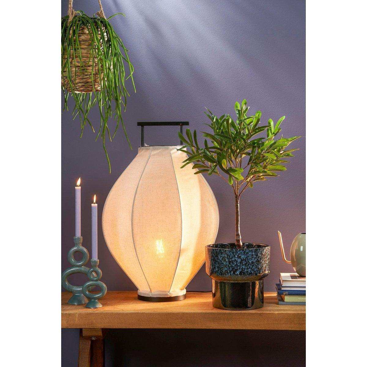 Künstliche Olivenpflanze im Blumentopf – H75 x Ø15 cm – Grün - HomeDesign Knaus