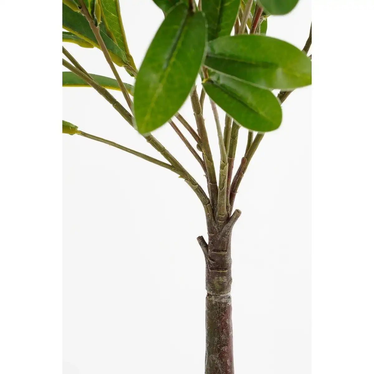 Künstliche Olivenpflanze im Blumentopf – H75 x Ø15 cm – Grün - HomeDesign Knaus