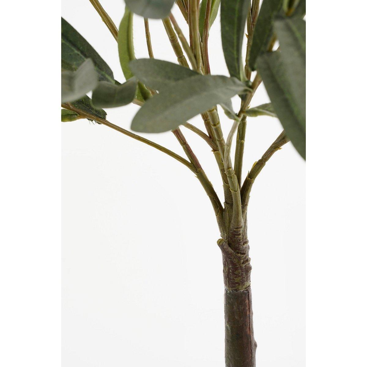 Künstliche Olivenpflanze im Blumentopf – H75 x Ø15 cm – Hellgrün - HomeDesign Knaus