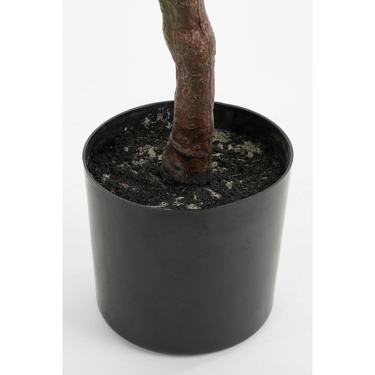 Künstliche Olivenpflanze im Blumentopf – H75 x Ø15 cm – Hellgrün - HomeDesign Knaus