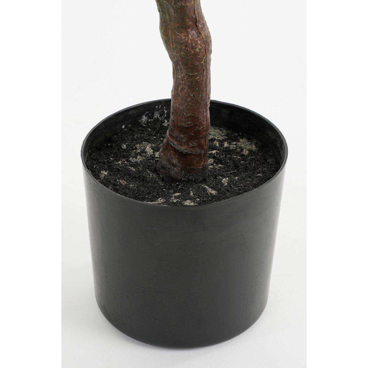 Künstliche Olivenpflanze im Blumentopf – H75 x Ø15 cm – Hellgrün - HomeDesign Knaus