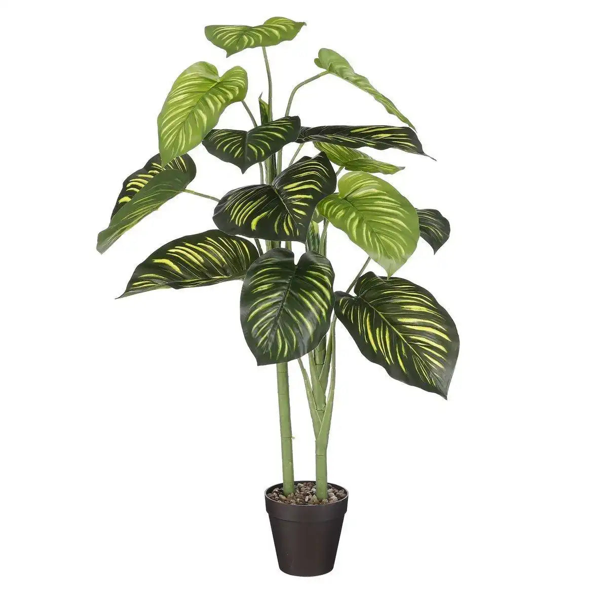 Künstliche Pflanze Caladium – H100 x Ø50 cm – Grün - HomeDesign Knaus