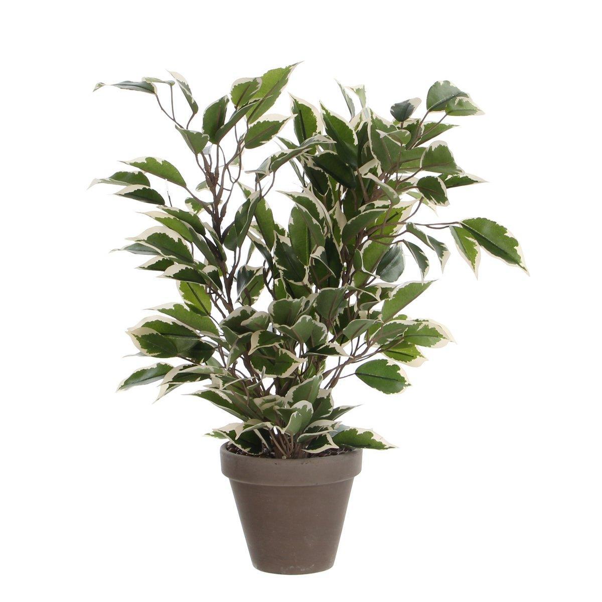 Künstliche Pflanze Ficus Natasja im Blumentopf Stan - H40 x Ø30 cm - Grün Bunt - HomeDesign Knaus