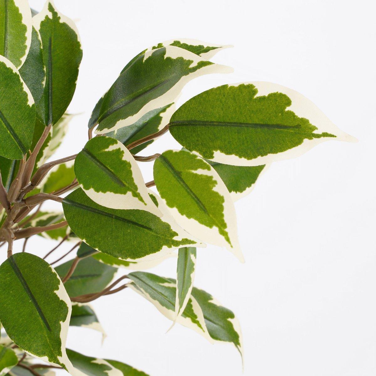 Künstliche Pflanze Ficus Natasja im Blumentopf Stan - H40 x Ø30 cm - Grün Bunt - HomeDesign Knaus