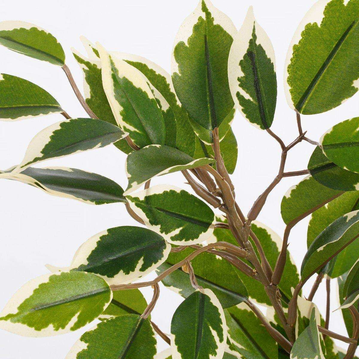 Künstliche Pflanze Ficus Natasja im Blumentopf Stan - H40 x Ø30 cm - Grün Bunt - HomeDesign Knaus