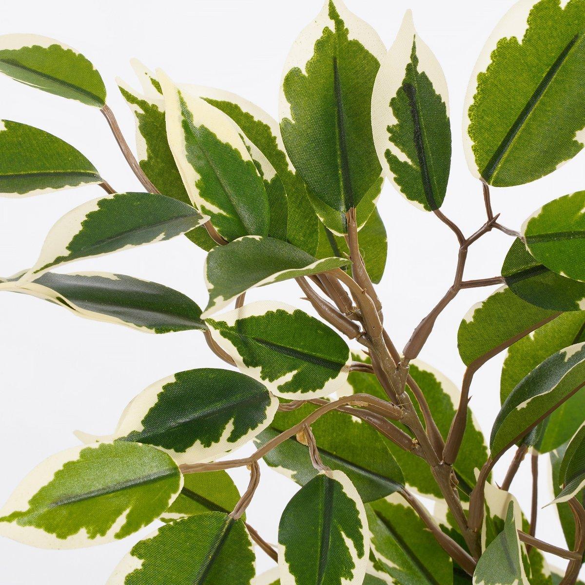Künstliche Pflanze Ficus Natasja im Blumentopf Stan - H40 x Ø30 cm - Grün Bunt - HomeDesign Knaus