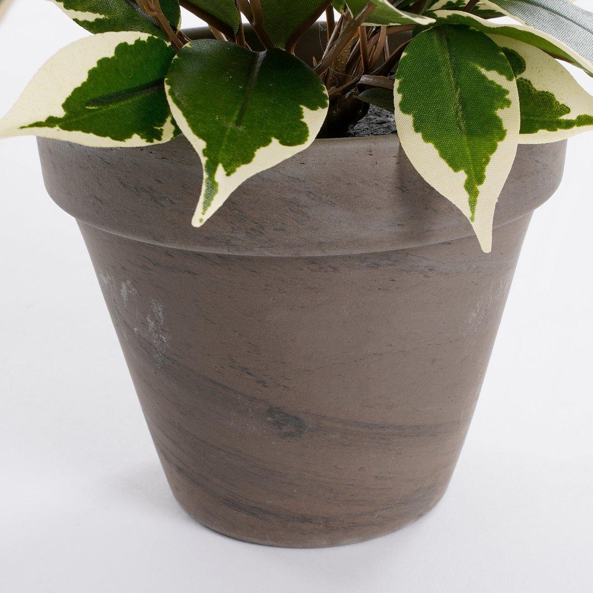 Künstliche Pflanze Ficus Natasja im Blumentopf Stan - H40 x Ø30 cm - Grün Bunt - HomeDesign Knaus