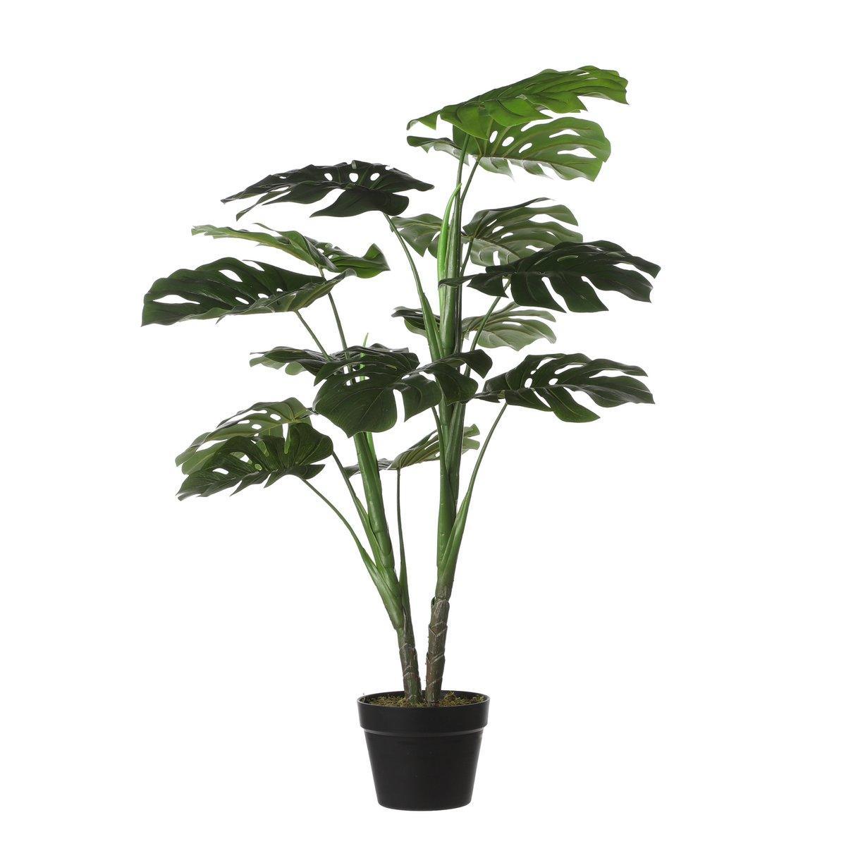 Künstliche Pflanze Monstera – H100 x Ø70 cm – Grün - HomeDesign Knaus