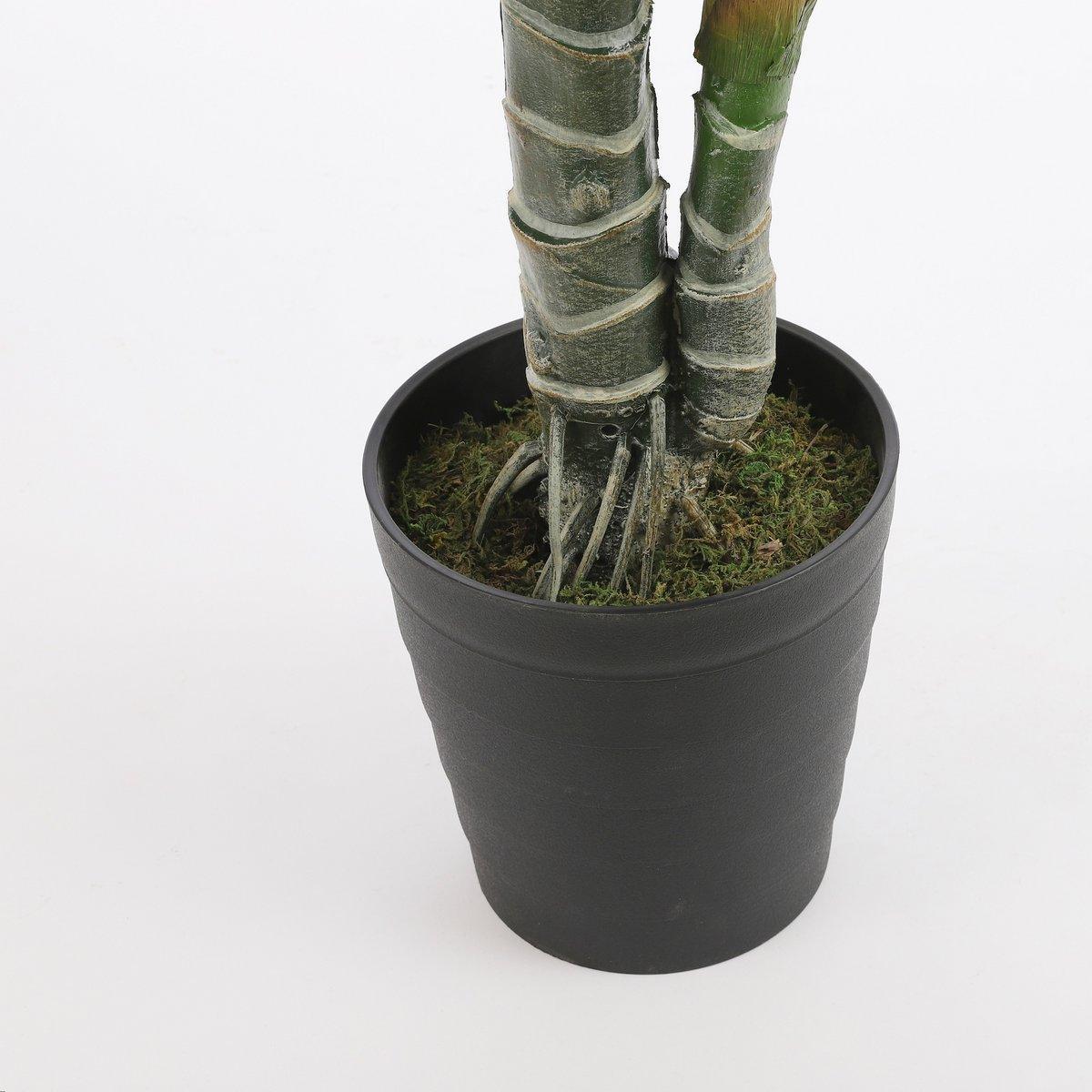 Künstliche Pflanze Monstera – H100 x Ø70 cm – Grün - HomeDesign Knaus