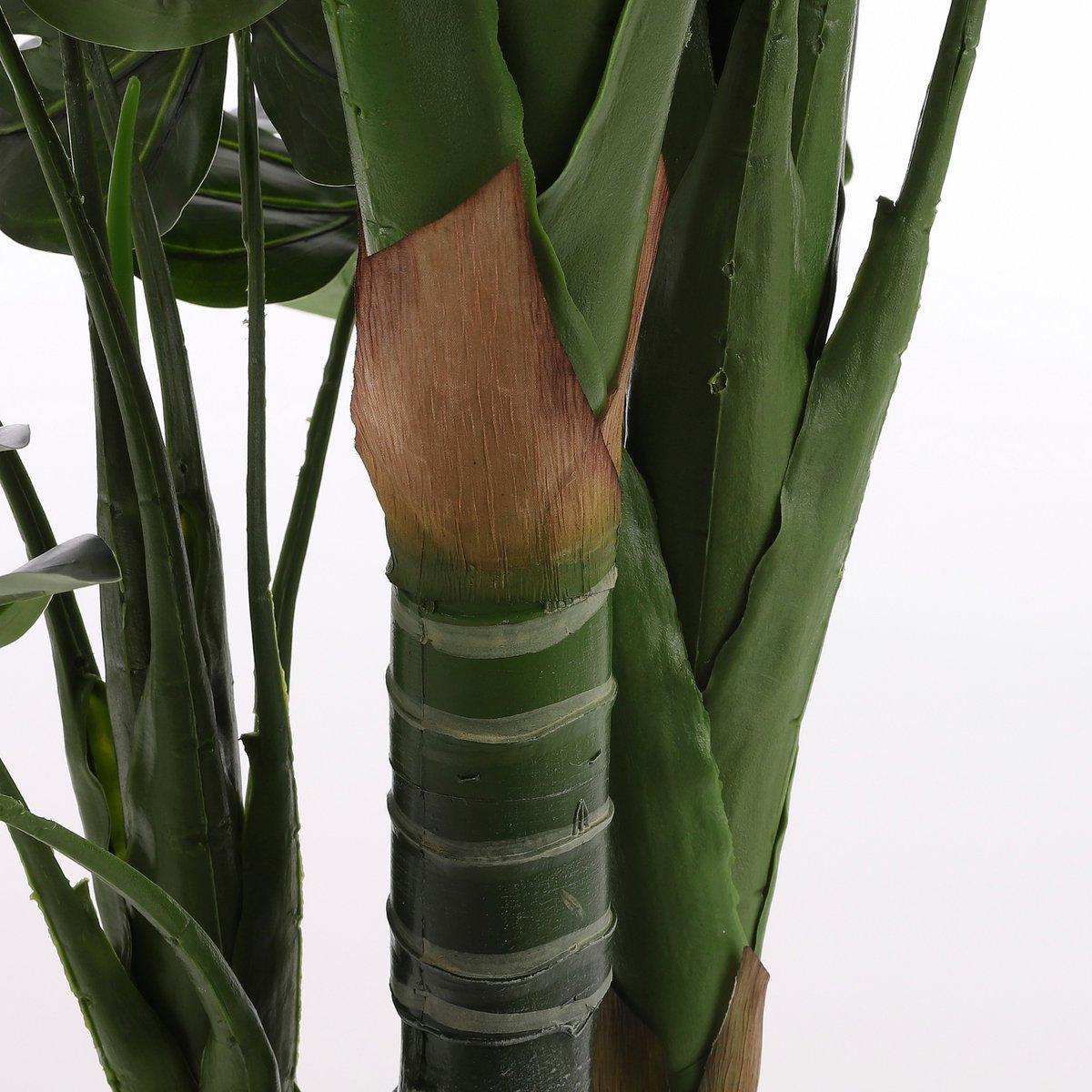 Künstliche Pflanze Monstera – H100 x Ø70 cm – Grün - HomeDesign Knaus