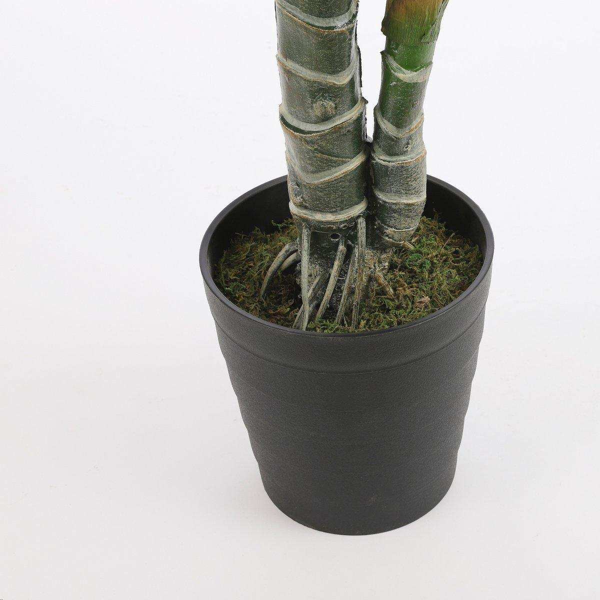 Künstliche Pflanze Monstera – H100 x Ø70 cm – Grün - HomeDesign Knaus