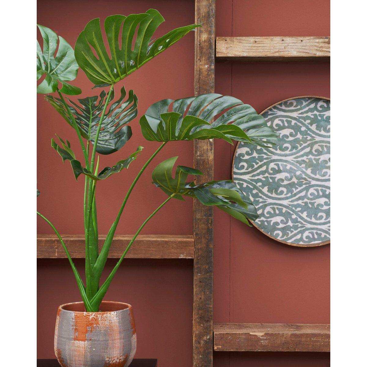 Künstliche Pflanze Monstera – H100 x Ø70 cm – Grün - HomeDesign Knaus