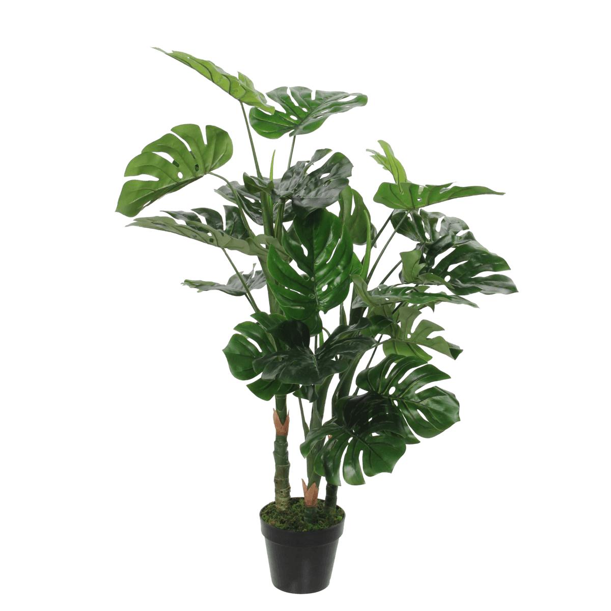 Künstliche Pflanze Monstera – H100 x Ø75 cm – Grün - HomeDesign Knaus