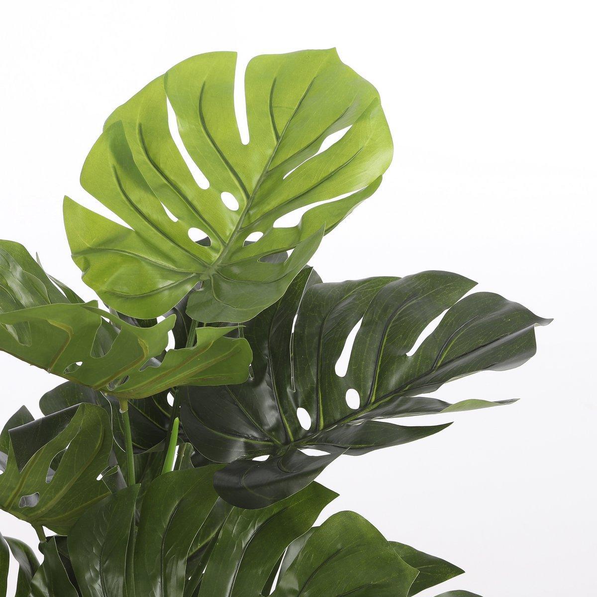 Künstliche Pflanze Monstera – H100 x Ø75 cm – Grün - HomeDesign Knaus
