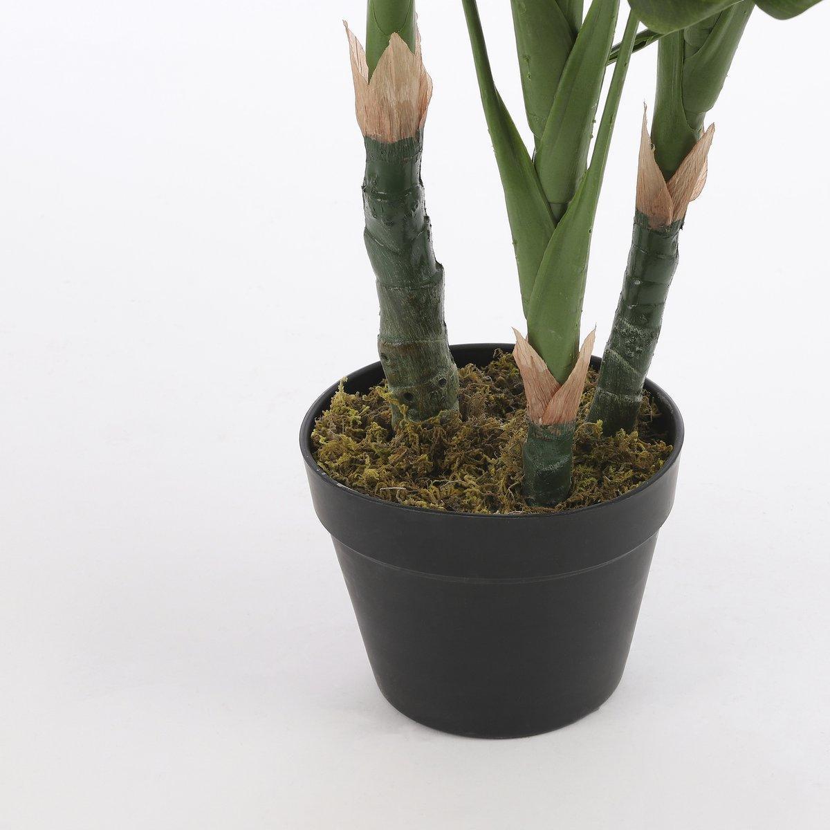 Künstliche Pflanze Monstera – H100 x Ø75 cm – Grün - HomeDesign Knaus