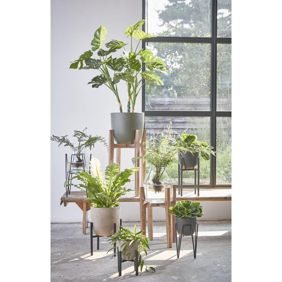 Künstliche Pflanze Monstera – H100 x Ø75 cm – Grün - HomeDesign Knaus