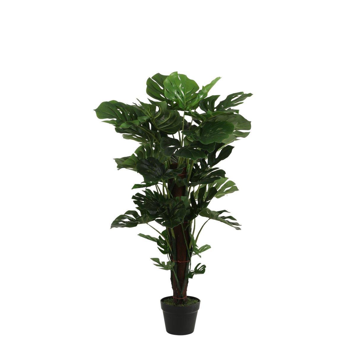 Künstliche Pflanze Monstera – H105 x Ø60 cm – Grün - HomeDesign Knaus