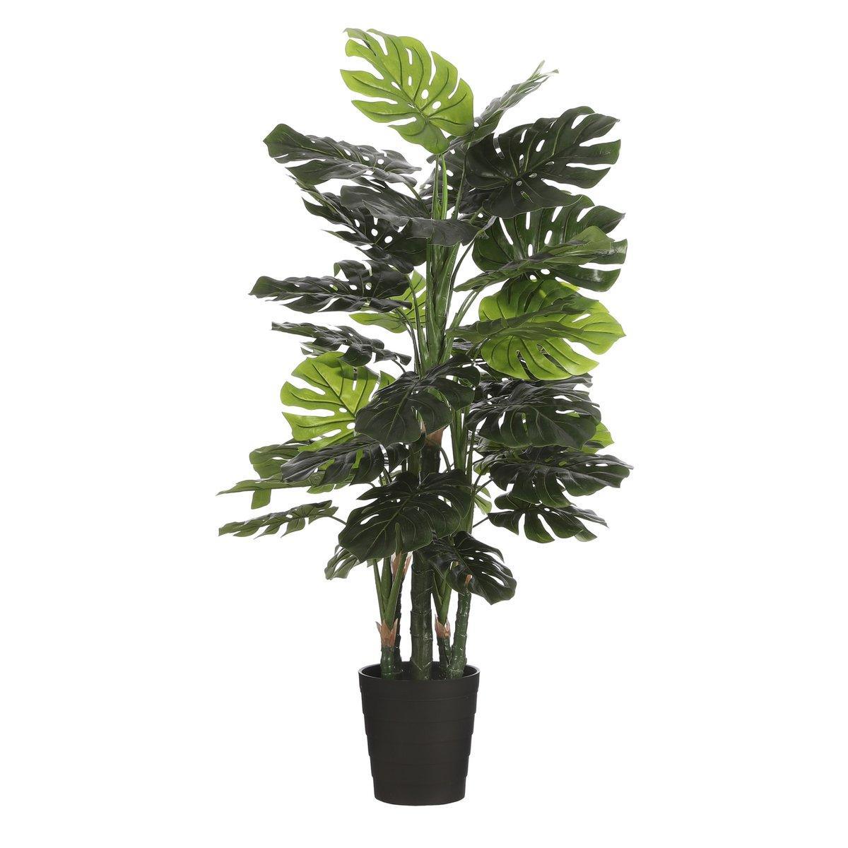 Künstliche Pflanze Monstera – H140 x Ø80 cm – Grün - HomeDesign Knaus