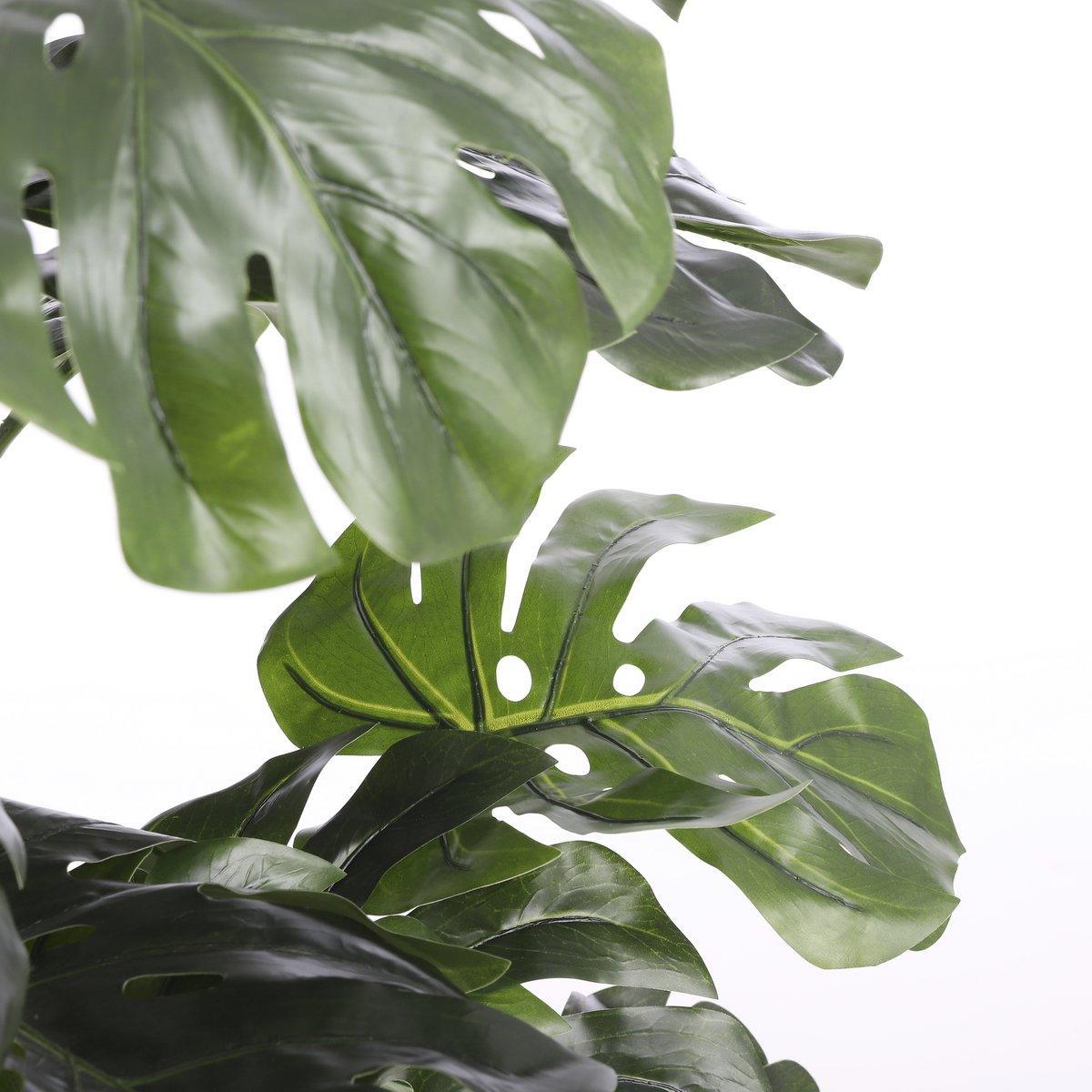 Künstliche Pflanze Monstera – H140 x Ø80 cm – Grün - HomeDesign Knaus