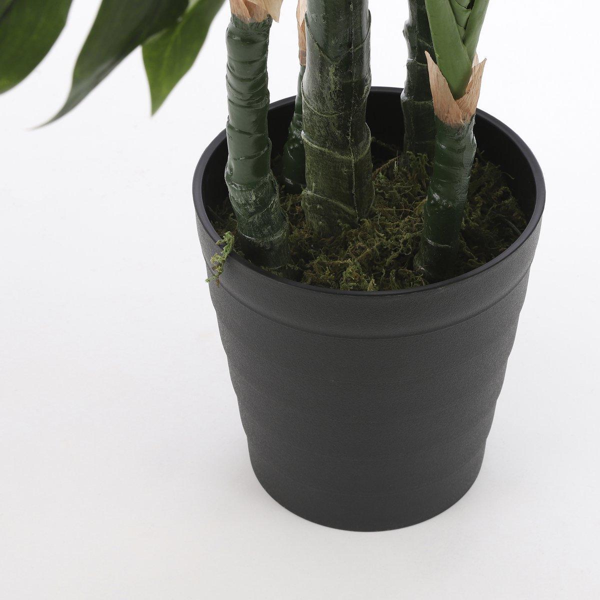 Künstliche Pflanze Monstera – H140 x Ø80 cm – Grün - HomeDesign Knaus