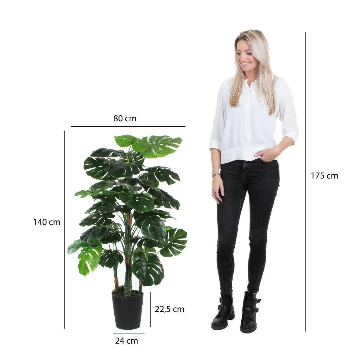 Künstliche Pflanze Monstera – H140 x Ø80 cm – Grün - HomeDesign Knaus