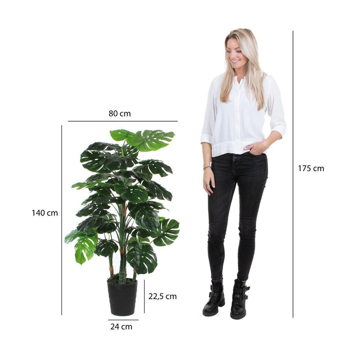 Künstliche Pflanze Monstera – H140 x Ø80 cm – Grün - HomeDesign Knaus